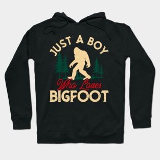 Just a boy who loves Bigfoot! Hoodie